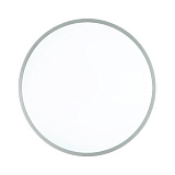 Светильник настенно-потолочный светодиодный Sonex 3008/DL с пультом д/у