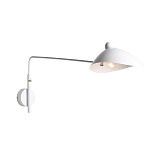 Светильник настенный ST Luce SL305.501.01
