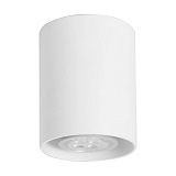 Светильник потолочный TopDecor Tubo8 P1 10