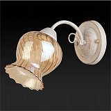 Светильник  настенный Toplight TL5690D-01WG