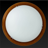 Светильник  настенно-потолочный Toplight TL9023Y-02OA