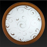 Светильник  настенно-потолочный Toplight TL9043Y-02OA