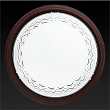 Светильник  настенно-потолочный Toplight TL9134Y-02OA