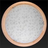 Светильник  настенно-потолочный светодиодный Toplight TL9280Y-00PN