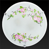 Светильник  настенно-потолочный Toplight TL9381Y-02WH