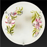 Светильник  настенно-потолочный Toplight TL9391Y-02WH