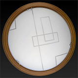 Светильник  настенно-потолочный светодиодный Toplight TL9540Y-00OA