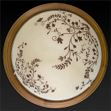 Светильник  настенно-потолочный светодиодный Toplight TL9630Y-00OA