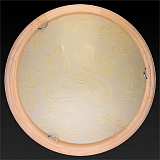 Светильник  настенно-потолочный светодиодный Toplight TL9640Y-00PN