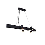 Светильник подвесной Vele Luce VL10142P14