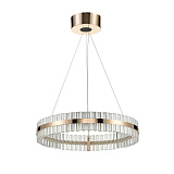 Светильник подвесной светодиодный Vele Luce VL1694P01