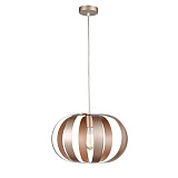 Светильник подвесной Vele Luce VL5324P21