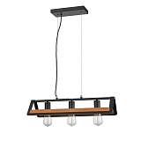 Светильник подвесной Vele Luce VL6072P31