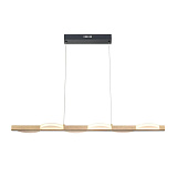 Светильник подвесной светодиодный Vele Luce VL7194P06