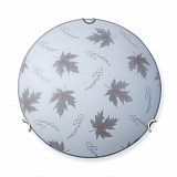 Светильник настенно-потолочный Vitaluce V6285/2A